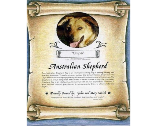 Personalised Dog Certificate