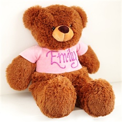 personalised-teddy-bear-pink-3-lg